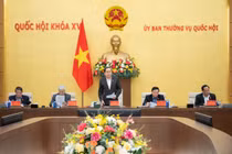 Giới thiệu 145 nhân sự ứng cử làm ĐBQH chuyên trách khóa XVI ở Trung ương