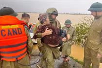 Liên tiếp cứu được người mắc kẹt do bão số 10 ở Thanh Hoá