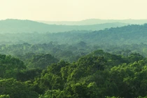 Chuyển hơn 4,38 ha rừng tự nhiên để làm mỏ đá vôi Hoàng Mai B