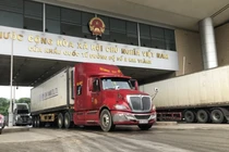 Tạm dừng áp dụng Nghị định 46 về an toàn thực phẩm đến hết ngày 15/4/2026