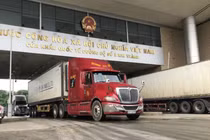 Tạm dừng áp dụng Nghị định 46 về an toàn thực phẩm đến hết ngày 15/4/2026