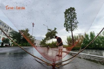 Nước ngập tràn, người dân Hà Nội đổ xô tung lưới bắt cá 