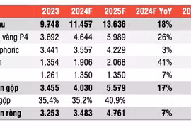 Lợi nhuận ròng 2024 của Hóa chất Đức Giang sẽ đạt 3,5 nghìn tỷ?