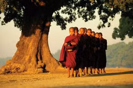Gallery - Câu Chuyện Cuộc Sống - image 1