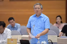 Thông tin mới nhất về vụ bắt bà Nguyễn Thị Như Loan - CEO Quốc Cường Gia Lai 