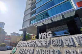 GVR lên kế hoạch chuyển đổi 40.000 ha đất cao su giai đoạn 2023-2030