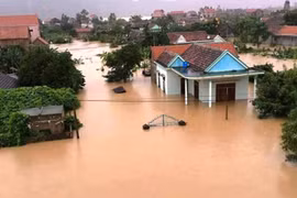 6 dịch bệnh dễ bùng phát sau mưa lũ và cách phòng tránh