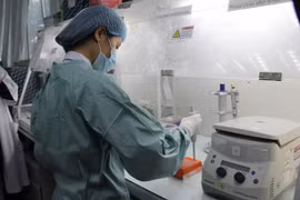 Gallery - Virus Zika Ăn Não Người Ở Việt Nam