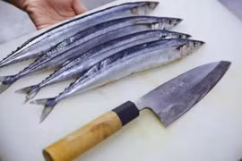 Loại cá được người Nhật quý như vàng cho não 
