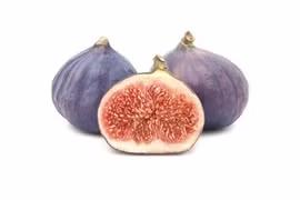 Giống sung to bằng quả trứng vịt, giá 300.000 đồng/kg vẫn nhiều người mua