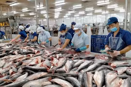 Cá tra Việt Nam sẽ đạt 2 tỷ USD trong năm 2024
