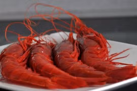 Gần Tết, tôm quỷ đỏ gần 5 triệu đồng/kg gây sốt thị trường