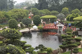 Hồ cá Koi hình bán nguyệt tiền tỷ của đại gia Thái Nguyên