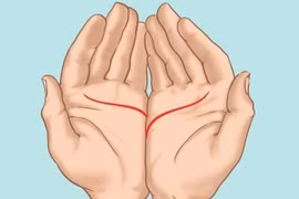 Đặt 2 bàn tay cạnh nhau nhìn ra ngay chuyện tình cảm bạn có hạnh phúc hay không?