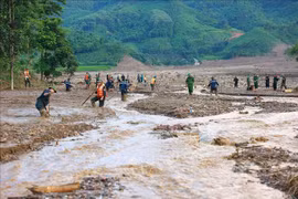 Những thiên tai kỷ lục chưa từng có ở Việt Nam
