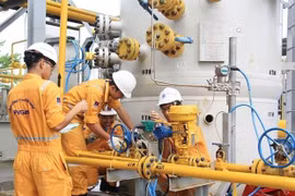 Một loạt lỗi vi phạm, GAS bị phạt 270 triệu đồng