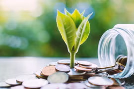 NTC trả cổ tức 60%, PHR nhận về 47 tỷ đồng