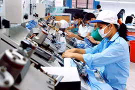 Hơn 13.000 doanh nghiệp thành lập mới trong tháng 11