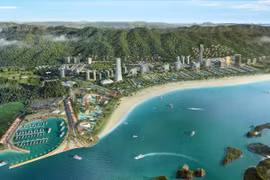 Tập đoàn C.E.O báo biên lãi gộp giảm mạnh quý 4/2019, cổ phiếu vẫn sụt