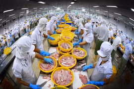 Gallery - DOANH NGHIỆP VIỆT THUA LỖ QUÝ 3/2020 - image 1