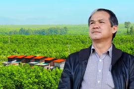 Bộ đôi HAG-HNG của ‘bầu’ Đức: Kế hoạch lãi lỗ đan xen trong năm 2020