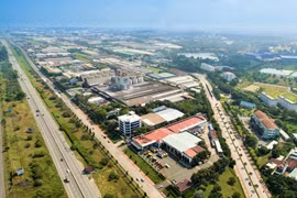 Lãi quý 2 của SNZ giảm 26% về còn 179 tỷ đồng
