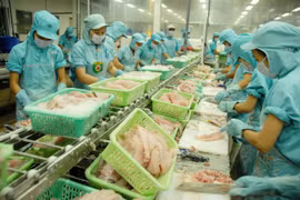 Phó Tổng Giám đốc Nguyễn Thanh Hải vừa trở thành cổ đông lớn tại IDI