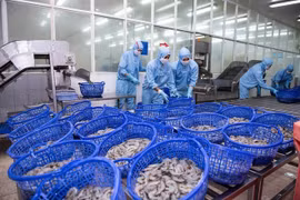 FMC ghi nhận doanh thu hơn 19 triệu USD tháng 1