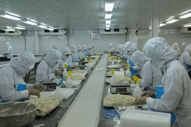Vi phạm công bố thông tin, Agrex Saigon bị phạt 60 triệu đồng 