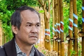Gallery - Bầu Đức - image 4