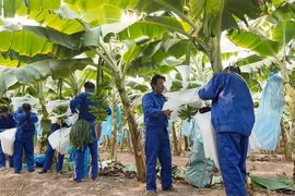 Gallery - CHỨNG KHOÁN HÔM NAY - image 8