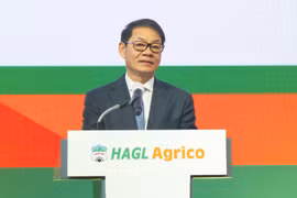 HAGL Agrico sẽ chuyển đổi hạch toán sang USD khắc phục rủi ro tỷ giá