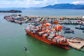 Cảng Quy Nhơn bị phạt 100 triệu đồng do sai phạm gì?