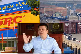 Cao su Sao Vàng và Cảng Phước An dưới tay Chủ tịch Phạm Hoành Sơn làm ăn ra sao?