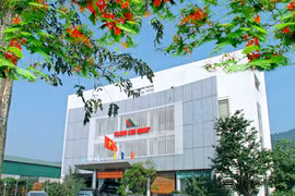 BIDV rao bán 10 tài sản gửi tại kho của tập đoàn Hoành Sơn