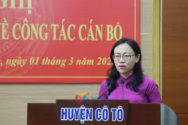Chân dung nữ Nhà báo làm Bí thư huyện đảo Cô Tô