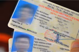 Nếu vi phạm các lỗi này có thể bị CSGT tước bằng lái xe đến 2 năm