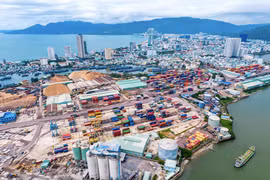 Đằng sau biến động "phi nước đại" 6 phiên của cổ phiếu Cảng Quy Nhơn