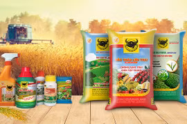 Vi phạm về thuế, Phân bón Bình Điền bị xử lý hơn 1,56 tỷ đồng