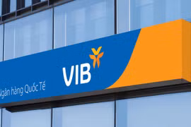 VIB cần thêm thời gian để hồi phục?