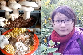 Cô nàng 9X trồng cả chục loại nấm trong nhà, ăn quanh năm chẳng hết 