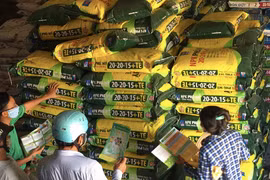 DPM: Sản lượng tiêu thụ hơn 450 ngàn tấn, đạt 41% kế hoạch năm