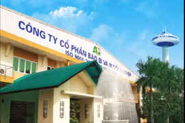 Mua chui cổ phiếu quỹ, Bao bì và In nông nghiệp bị phạt 70 triệu đồng