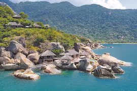 Ninh Vân Bay báo lỗ quý thứ 5 liên tiếp, cổ phiếu vẫn liên tục tăng trần