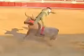 Hãi hùng cảnh võ sĩ bị bò tót húc văng lên không trung