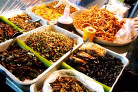 Gallery - MÓN ĂN TỪ CÔN TRÙNG - image 1