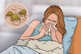 Những điều tồi tệ gì xảy ra khi bạn không giặt chăn gối ngủ