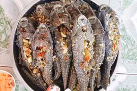Thưởng thức món ngon từ cá lau kiếng của người miền Tây