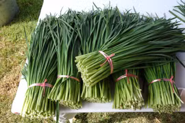Rau hẹ có tác dụng chống ung thư ít người biết