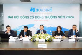 Hòa Bình phát hành 274 triệu cổ phiếu riêng lẻ để tăng vốn và hoán đổi nợ